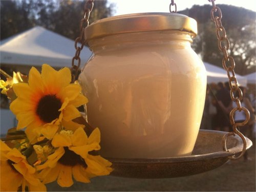 Crema di pecorino